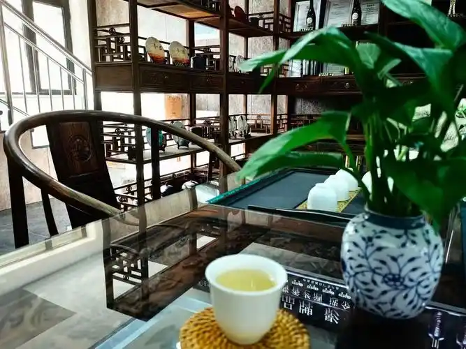 上海品茶工作室商务茶叙场景实拍